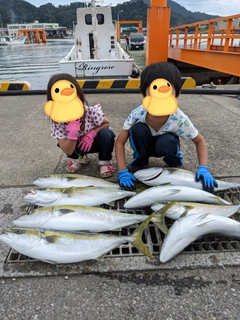 イナダの釣果