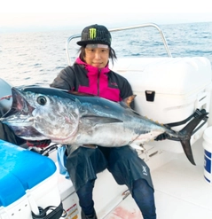 クロマグロの釣果