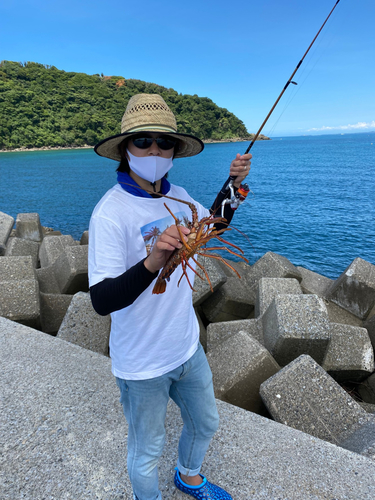 イセエビの釣果