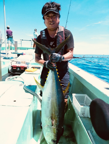 キハダマグロの釣果