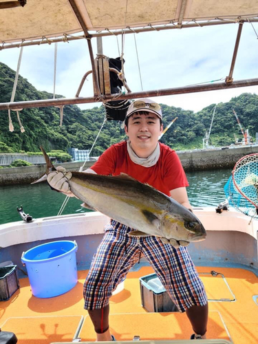 カンパチの釣果