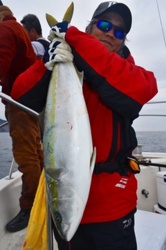 ブリの釣果