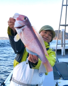 アマダイの釣果