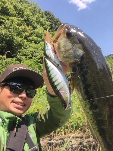 ブラックバスの釣果