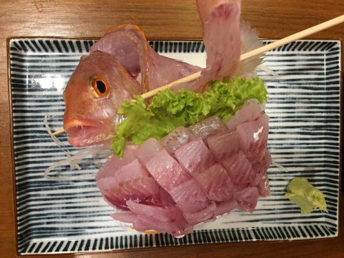 イトヨリダイの釣果