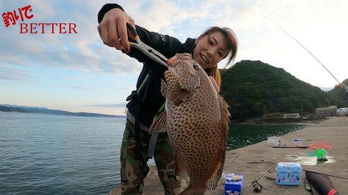 ホウセキハタの釣果