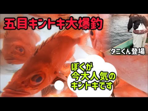 チカメキントキの釣果