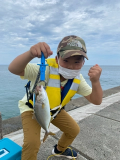 ショゴの釣果