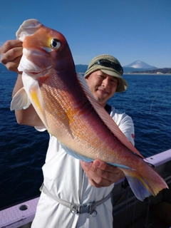 アマダイの釣果