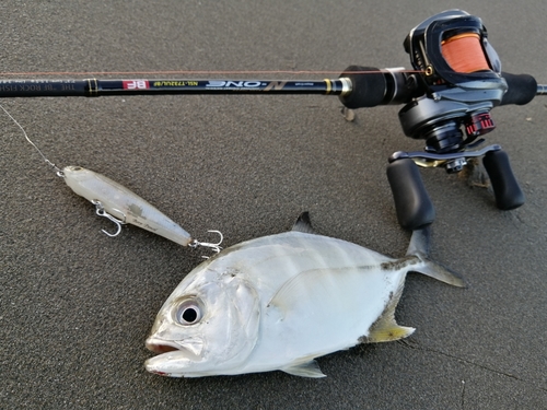 メッキの釣果