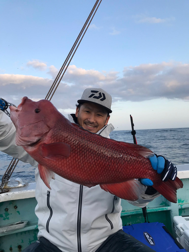 カンダイの釣果