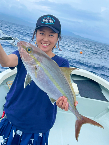 カンパチの釣果