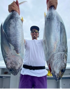 キメジの釣果