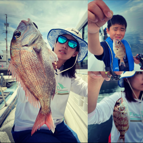 マダイの釣果