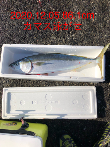 釣果