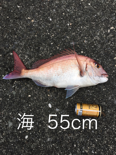 釣果