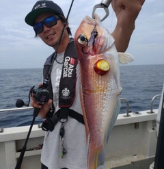 アマダイの釣果