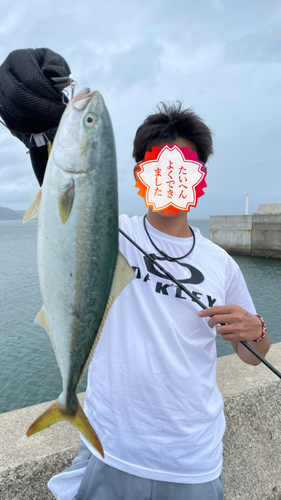 ツバスの釣果