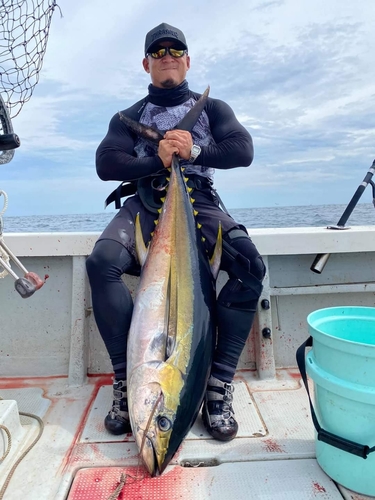 キハダマグロの釣果