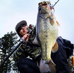 ブラックバスの釣果