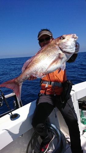 マダイの釣果