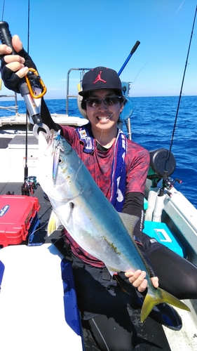 イナダの釣果