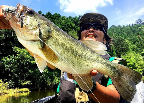 ブラックバスの釣果