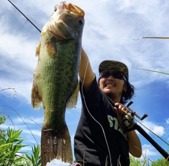 ブラックバスの釣果