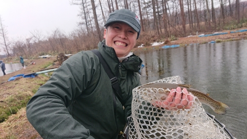 ニジマスの釣果