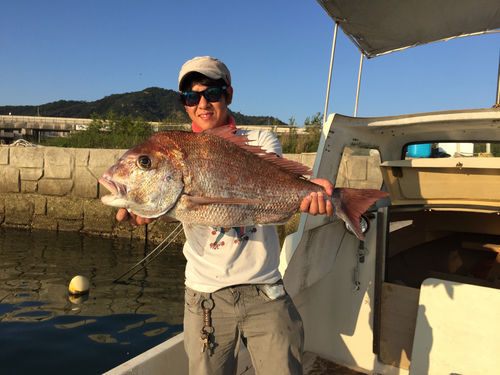 マダイの釣果