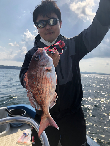 マダイの釣果