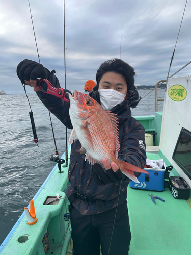 マダイの釣果