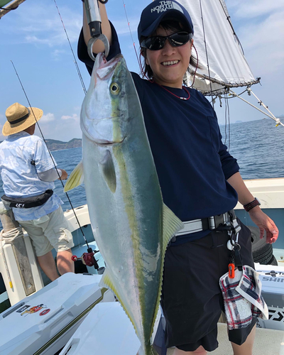 ハマチの釣果