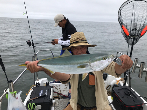 イナダの釣果