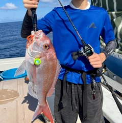 タイの釣果