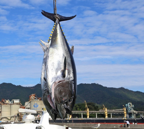 釣果