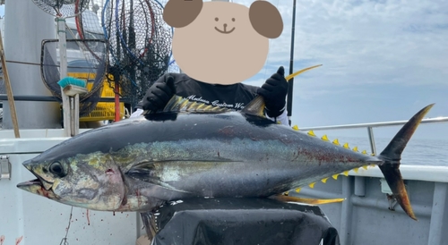 キハダマグロの釣果