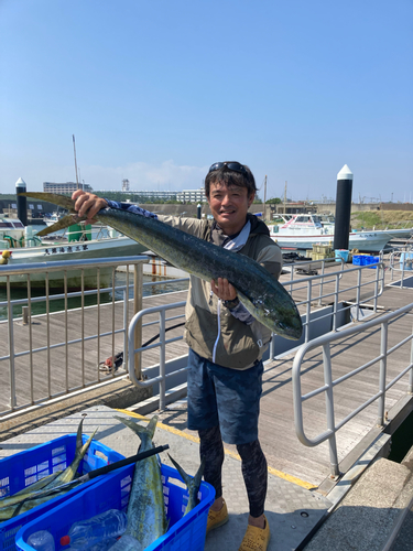 シイラの釣果