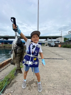 チヌの釣果