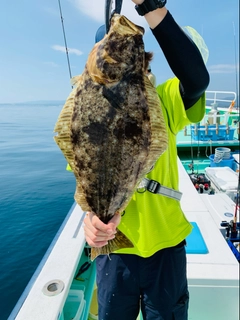 ヒラメの釣果
