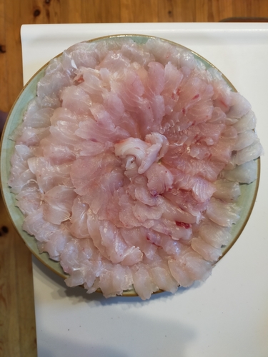 釣果