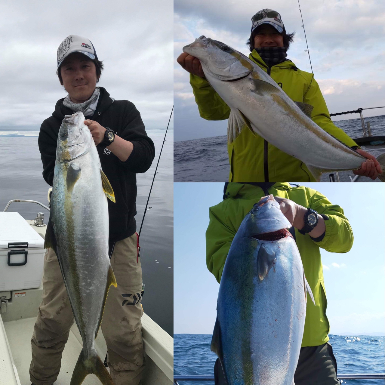 Tsuchie さんの 2021年08月28日のヒラマサの釣り・釣果情報(島根県 - 島根県松江市近辺) - アングラーズ |  釣果500万件の魚釣り情報サイト