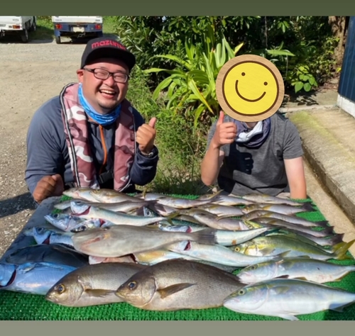 イサキの釣果