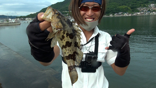 タケノコメバルの釣果