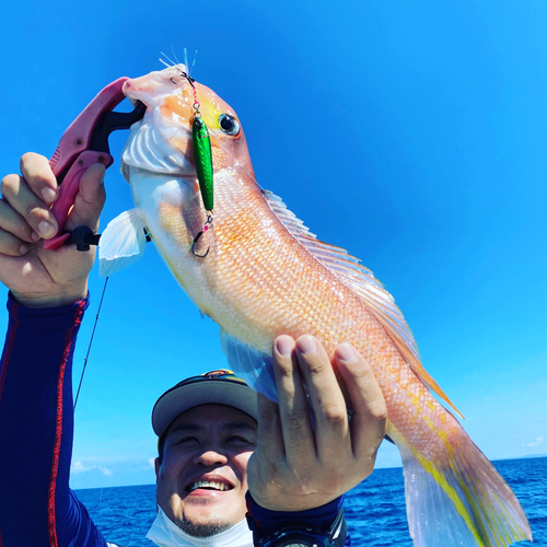 アマダイの釣果