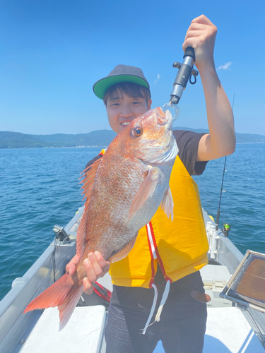 マダイの釣果