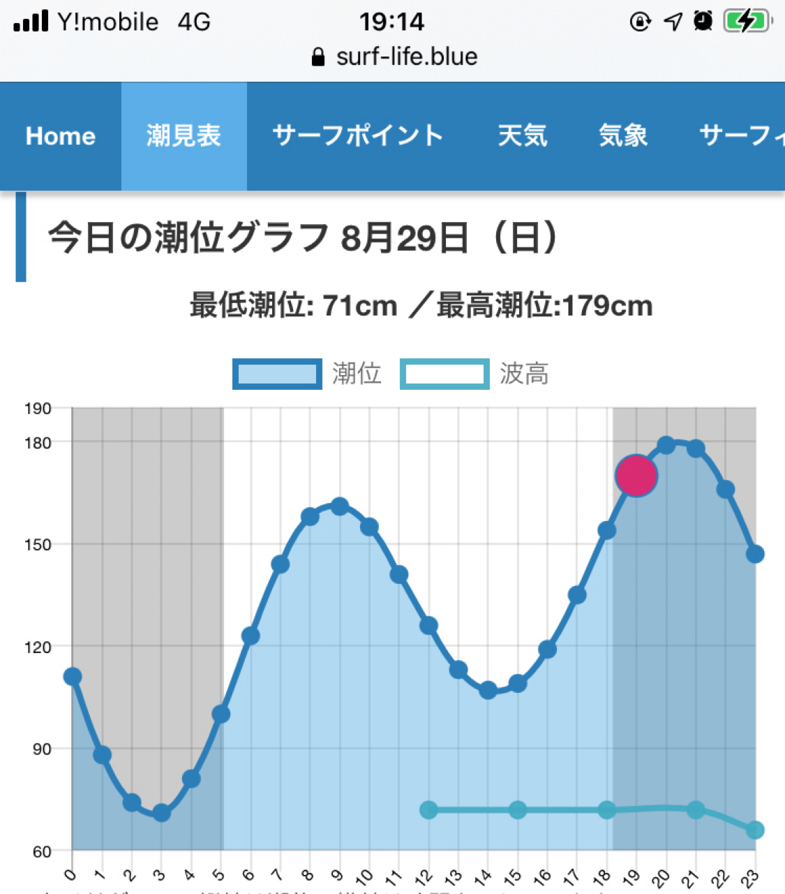 コイ