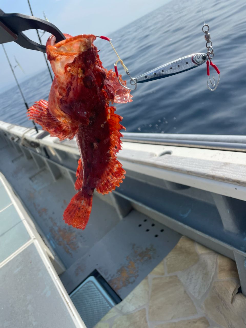 オフショア釣りおじさんさんの釣果 2枚目の画像