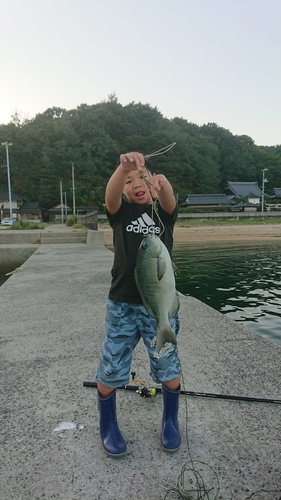 クロの釣果