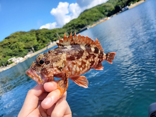 釣果